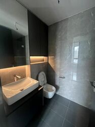 Irwell Hill Residences (D9), Apartment #459058931